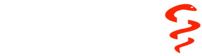 Logo d'ibidel
